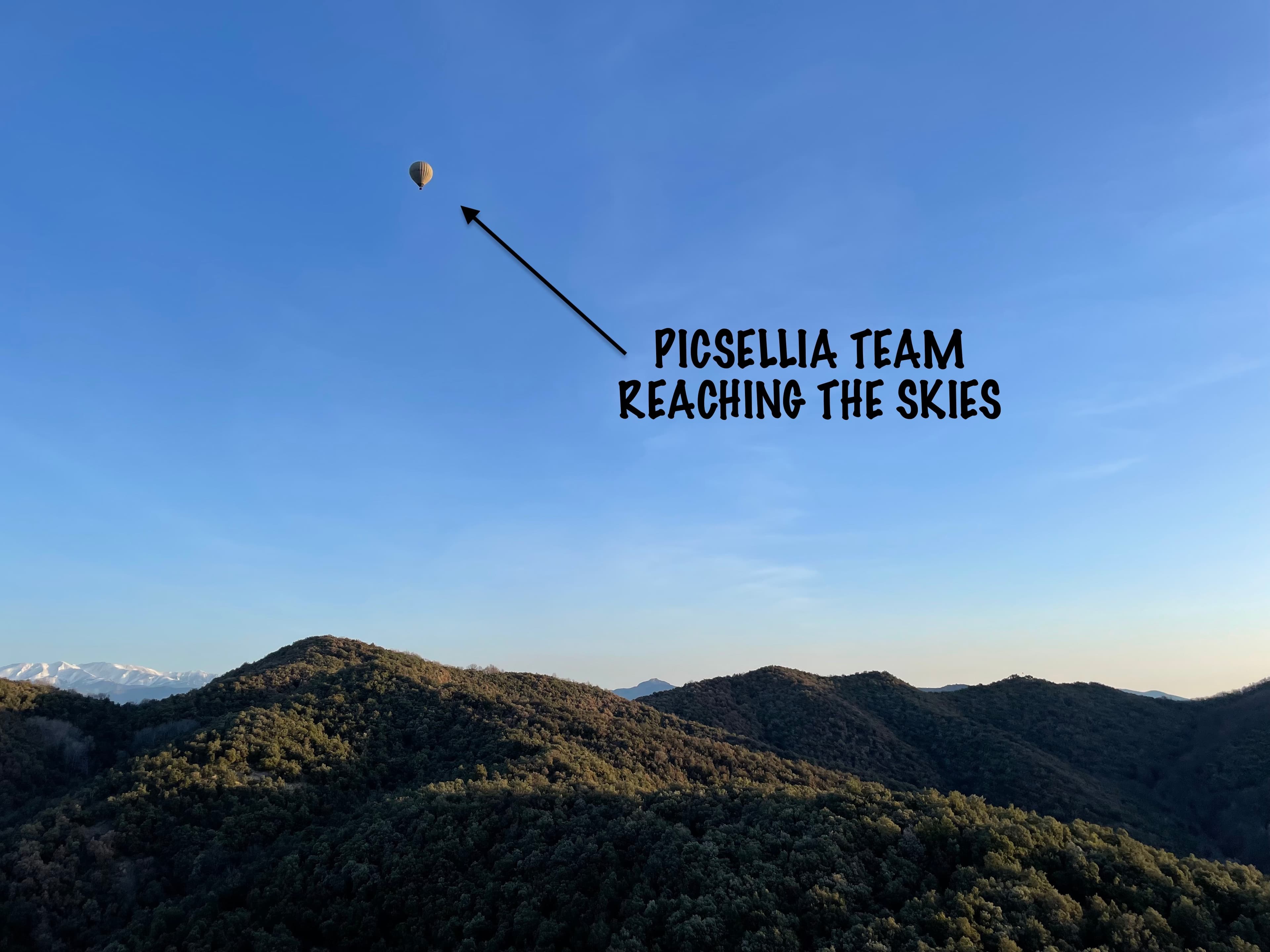 The Art of Annotation: Lessons Learned From a Picsellia Annotation Campaign