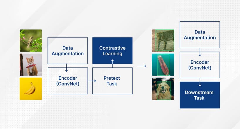 How to Reduce Training Data with Self-Supervised Learning